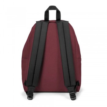 Padded Lifestyle Backpack