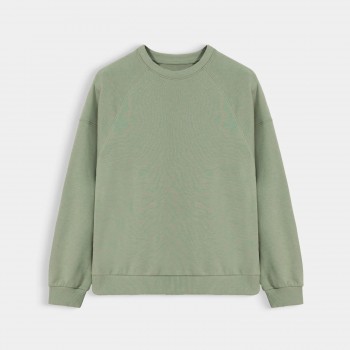 Basic Solid Sweatshirt