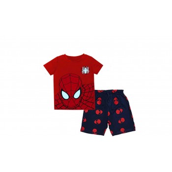 Spiderman Summer Set